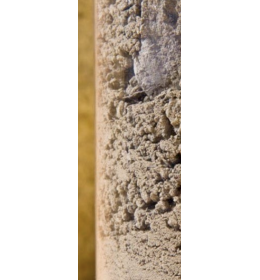 Terra Ocra con struttura cretosa con una buona quantità di sabbia che rende il terreno sciolto e leggero