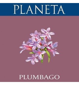 Plumbago Etichetta Planeta